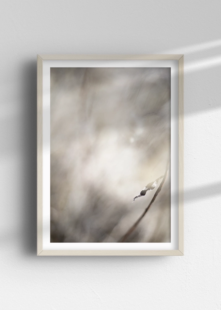 Hana´s Atelier: FineART Prints in Galeriequaliät