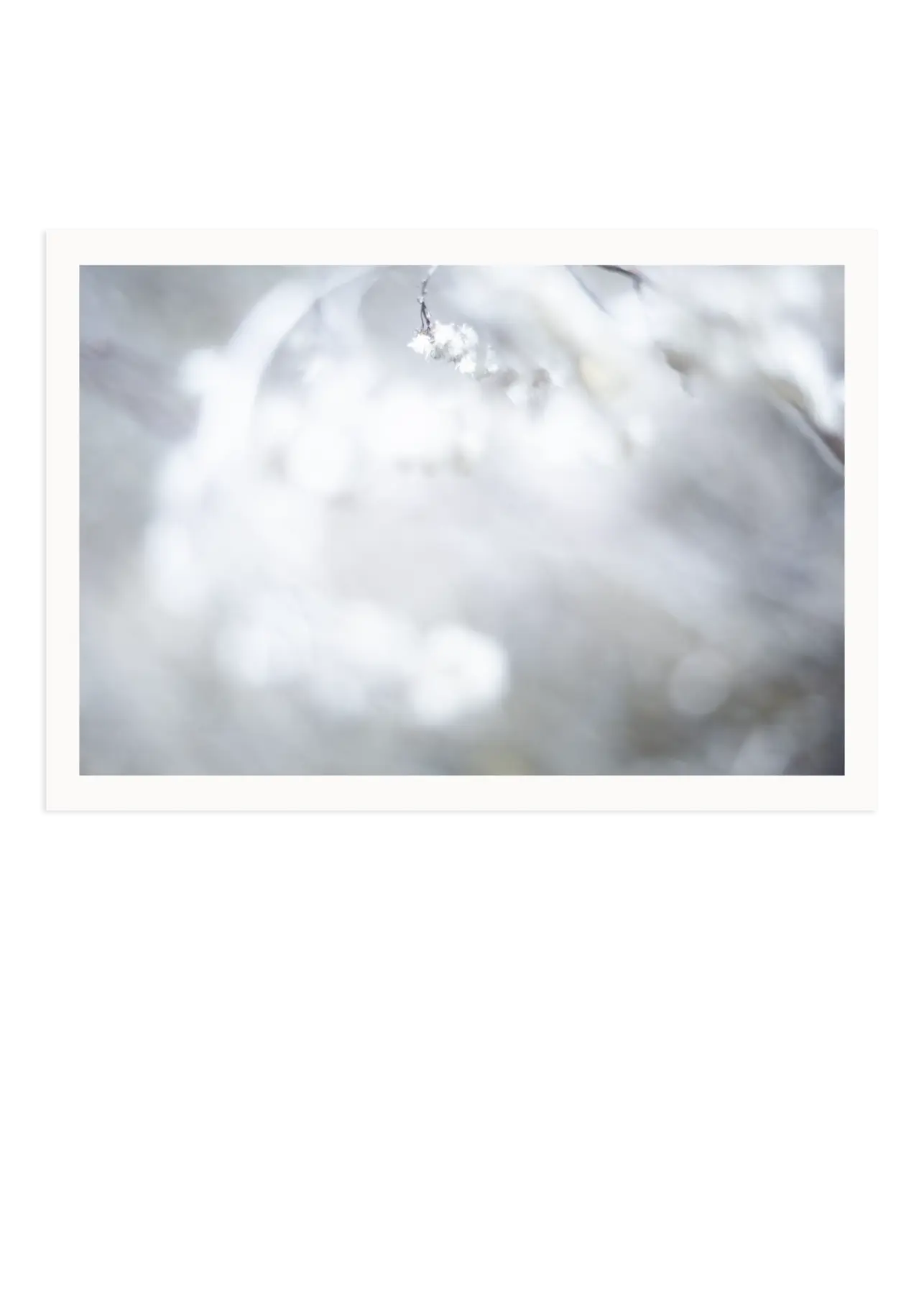 HanaART FineART-Kollektion In Weiß getaucht