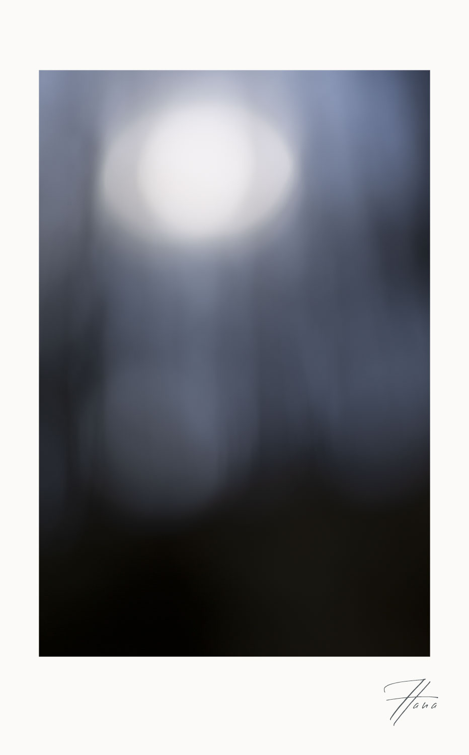 Ein erster Hauch von Licht - Komorebi