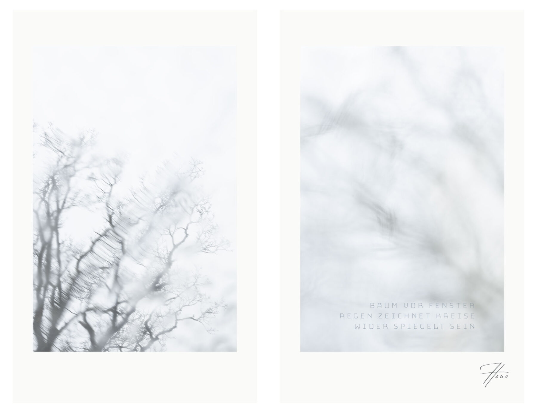 Diptychon mit Baum vor verregnetem Fenster – Kreise des Regens und stille Spiegelung des Seins in Momentfotografie