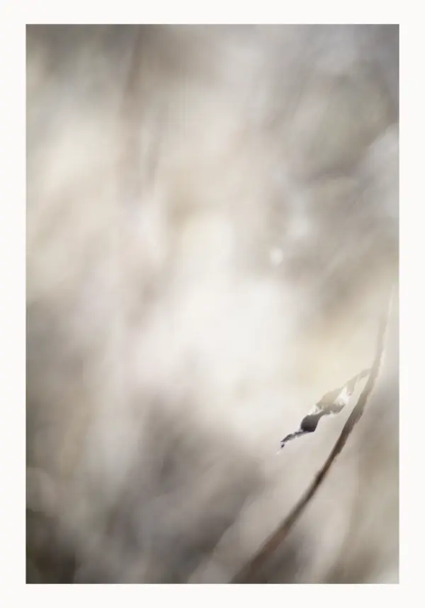 Zwischen Raum und Zeit „Stilles Erinnern“ – FineART-Print von HanaART
