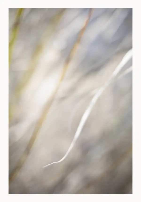 Zwischen Raum und Zeit „Fließendes Licht“ – FineART-Print von HanaART