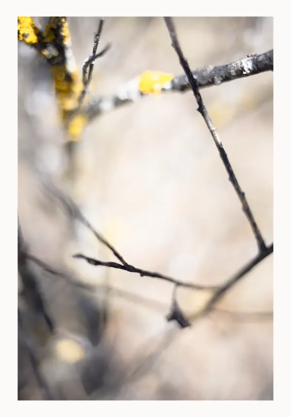 Zwischen Raum und Zeit “Im Geflecht des Zwischenraums” – FineART-Print von HanaART