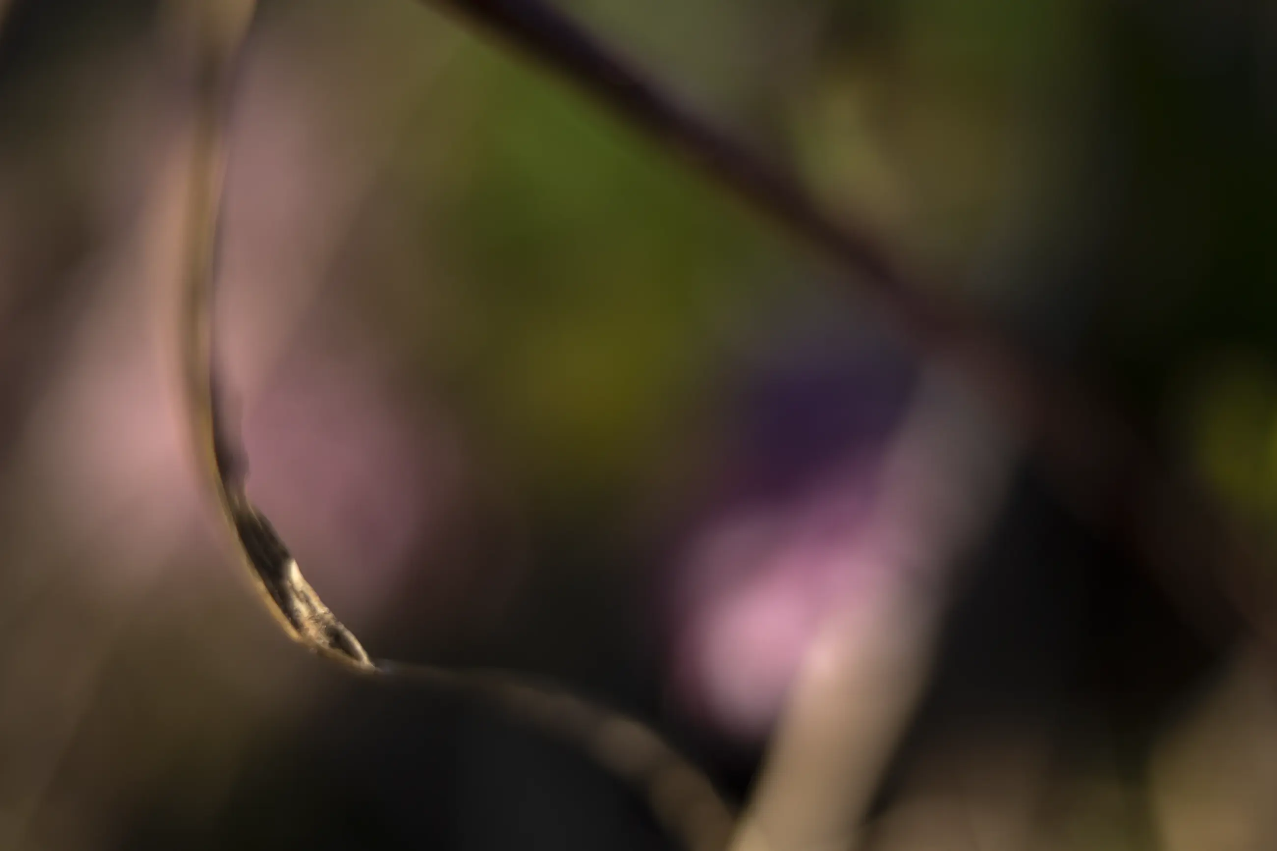 Komorebi „Flüstern von Farben“ – FineART-Print von HanaART