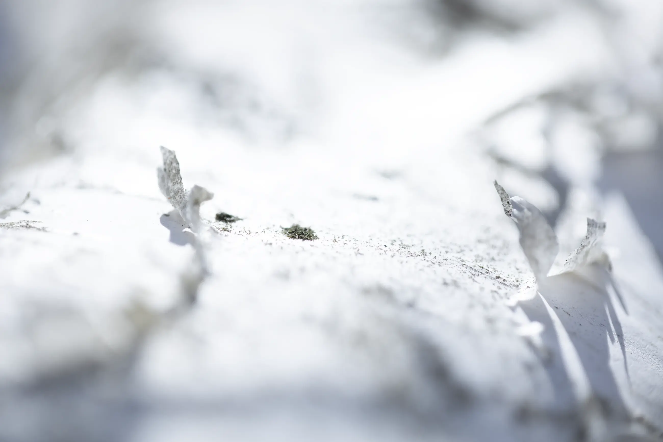 In Weiß getaucht „Papier der Zeit“ – FineART-Print von HanaART