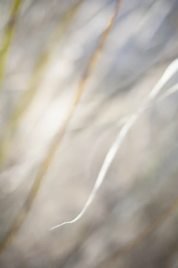 Zwischen Raum und Zeit „Fließendes Licht“ – FineART-Print von HanaART