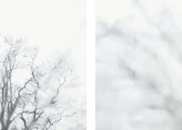 Baum vor Fenster – Diptychon Werkdetails