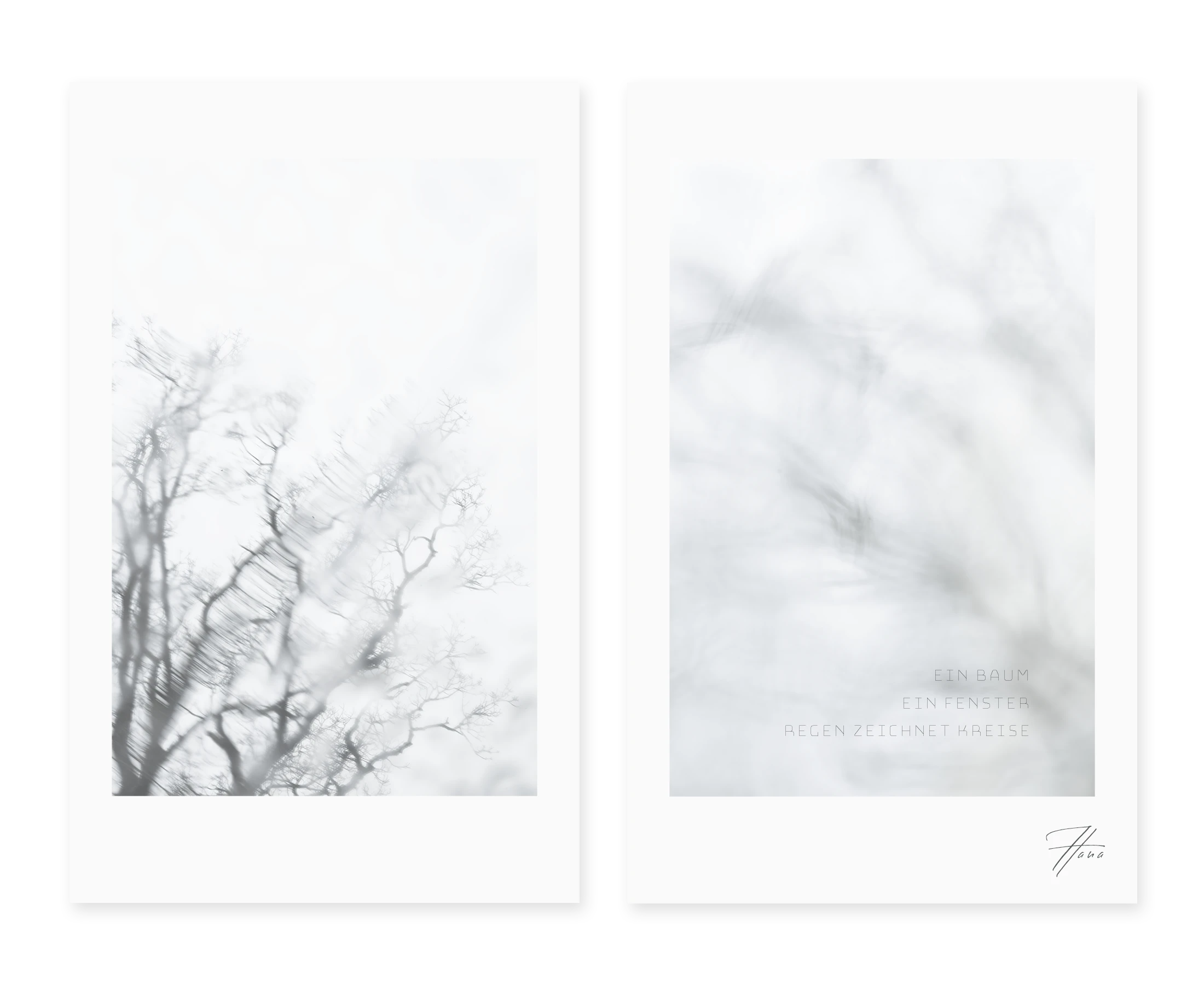 Baum vor Fenster – Diptychon aus Licht, Regen und Spiegelung Diptychon mit Baum vor verregnetem Fenster – Momentfotografie