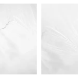 Spur im Weiß – Farbe (Diptychon)