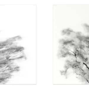 FineART-Diptychon Sonus Arborum