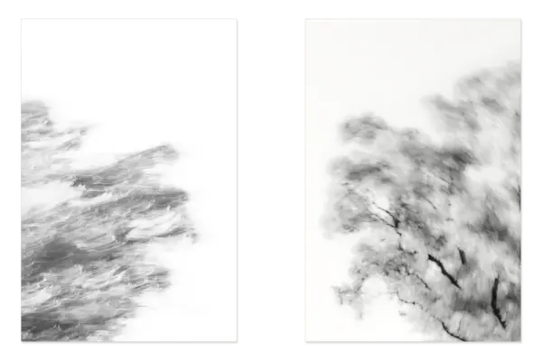 FineART-Diptychon Sonus Arborum