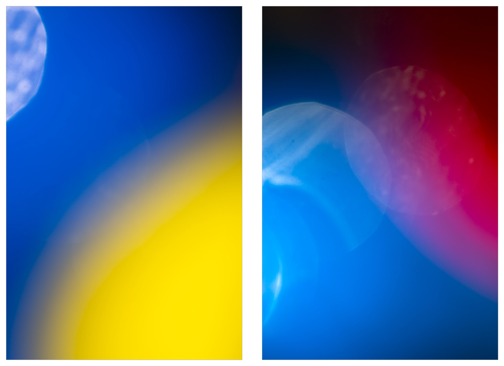 Rendezvous mit Farbe: Sommergelb & Abendrot